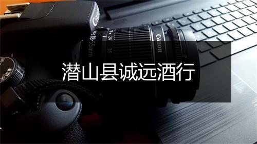 潜山县诚远酒行