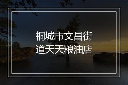 桐城市文昌街道天天粮油店