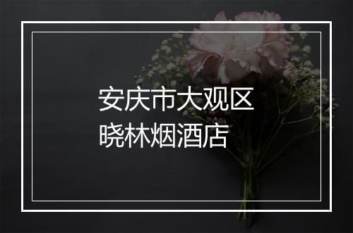 安庆市大观区晓林烟酒店