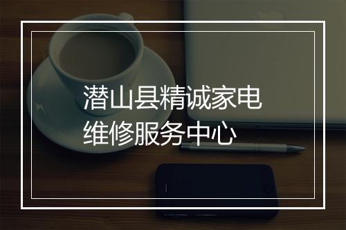 潜山县精诚家电维修服务中心