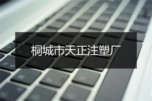 桐城市天正注塑厂