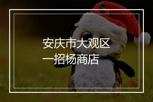 安庆市大观区一招杨商店