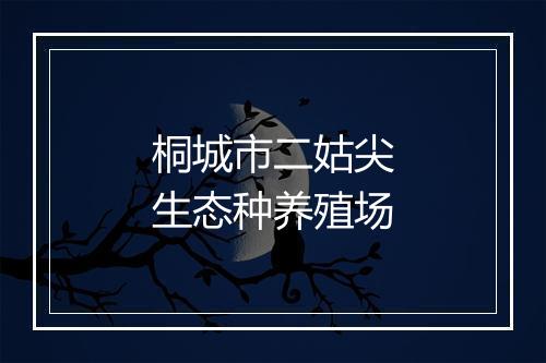 桐城市二姑尖生态种养殖场