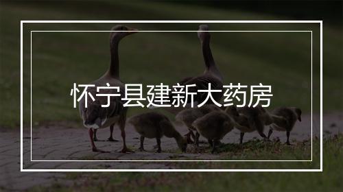 怀宁县建新大药房
