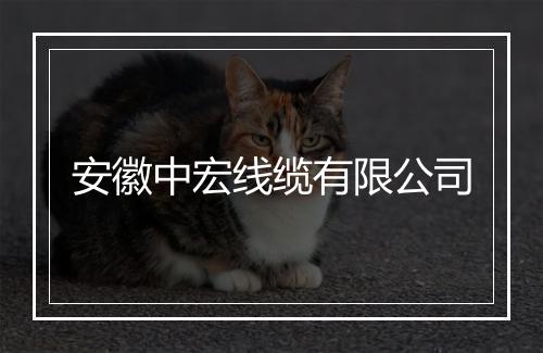 安徽中宏线缆有限公司