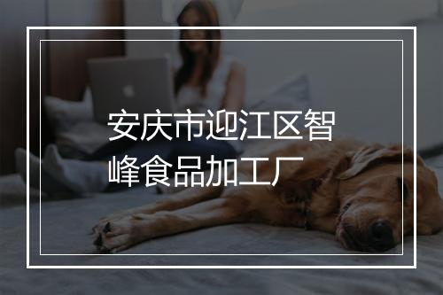 安庆市迎江区智峰食品加工厂