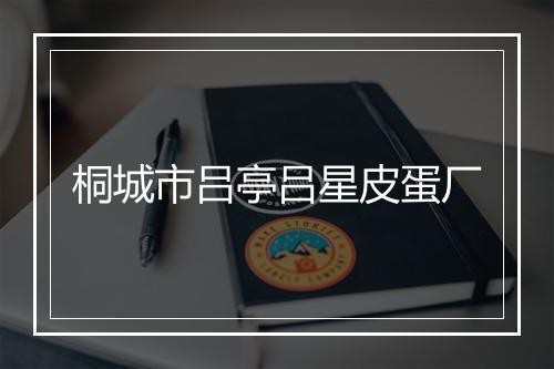 桐城市吕亭吕星皮蛋厂