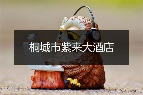 桐城市紫来大酒店