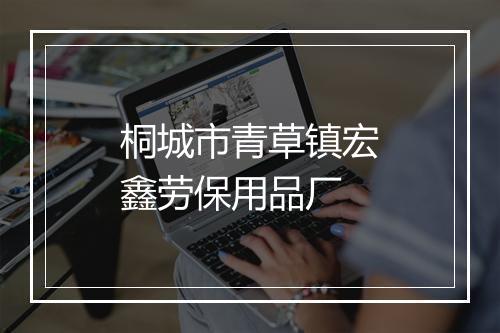 桐城市青草镇宏鑫劳保用品厂