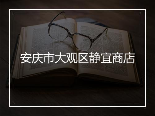 安庆市大观区静宜商店