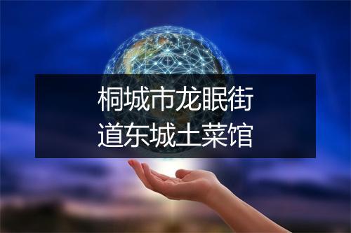 桐城市龙眠街道东城土菜馆