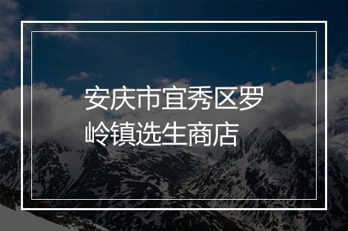 安庆市宜秀区罗岭镇选生商店