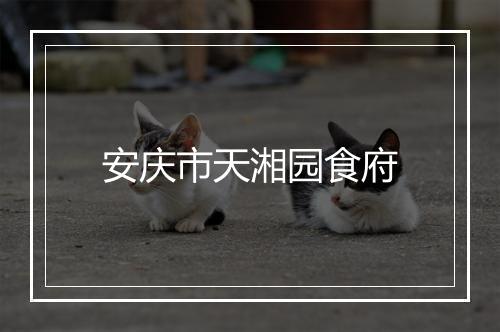 安庆市天湘园食府