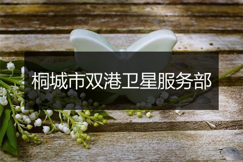 桐城市双港卫星服务部