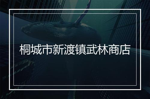 桐城市新渡镇武林商店