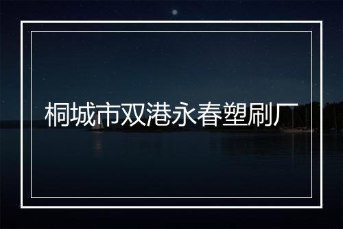 桐城市双港永春塑刷厂
