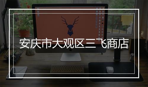 安庆市大观区三飞商店