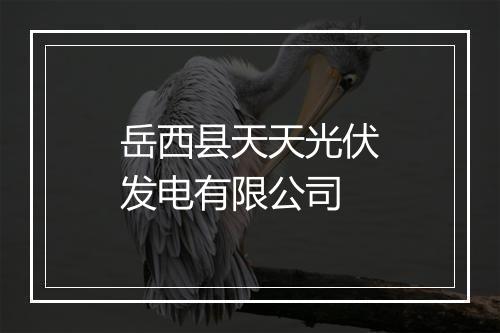 岳西县天天光伏发电有限公司