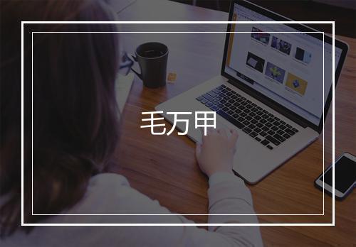 毛万甲