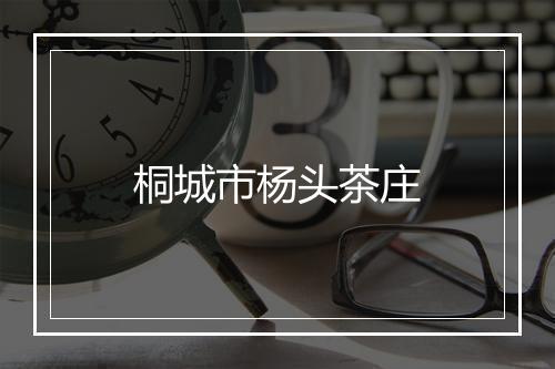 桐城市杨头茶庄
