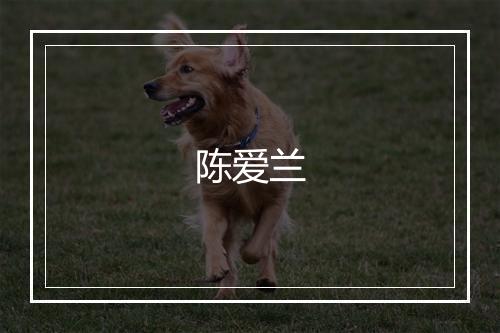 陈爱兰