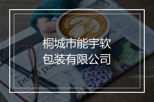 桐城市能宇软包装有限公司