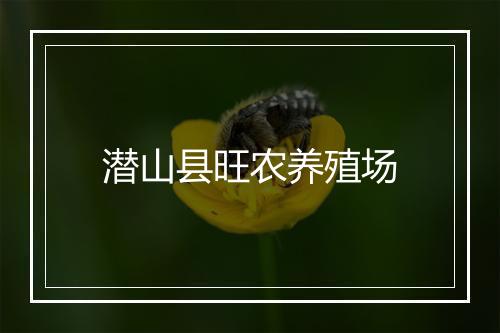 潜山县旺农养殖场