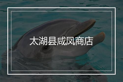 太湖县咸凤商店