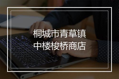桐城市青草镇中楼梭桥商店