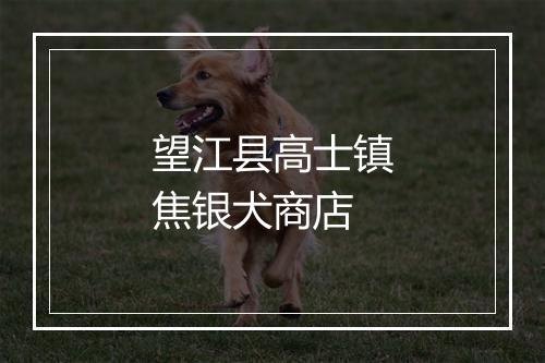 望江县高士镇焦银犬商店