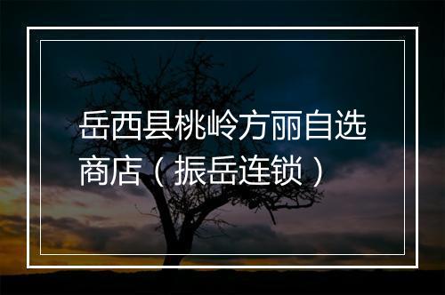 岳西县桃岭方丽自选商店（振岳连锁）