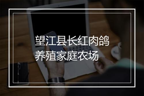 望江县长红肉鸽养殖家庭农场
