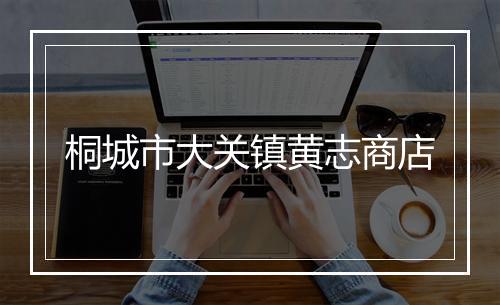 桐城市大关镇黄志商店