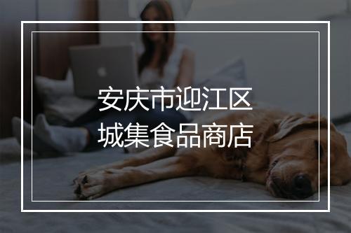 安庆市迎江区城集食品商店