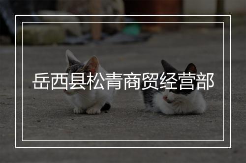 岳西县松青商贸经营部