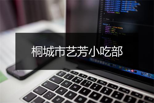 桐城市艺芳小吃部