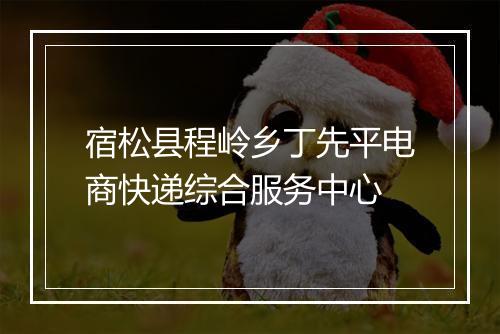 宿松县程岭乡丁先平电商快递综合服务中心