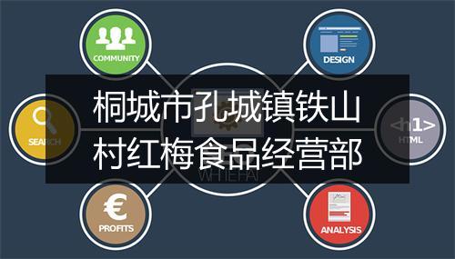 桐城市孔城镇铁山村红梅食品经营部
