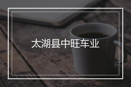 太湖县中旺车业