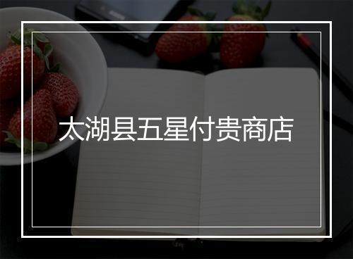 太湖县五星付贵商店