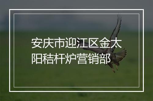 安庆市迎江区金太阳秸杆炉营销部