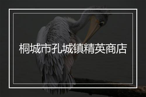 桐城市孔城镇精英商店