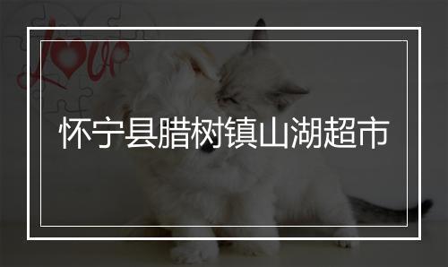 怀宁县腊树镇山湖超市