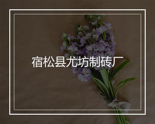 宿松县尤坊制砖厂