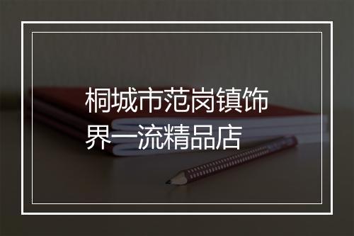 桐城市范岗镇饰界一流精品店