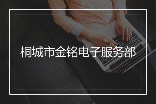 桐城市金铭电子服务部