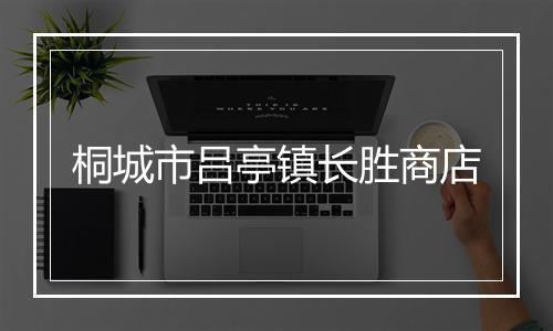 桐城市吕亭镇长胜商店