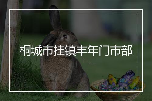 桐城市挂镇丰年门市部