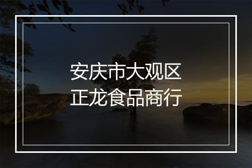 安庆市大观区正龙食品商行