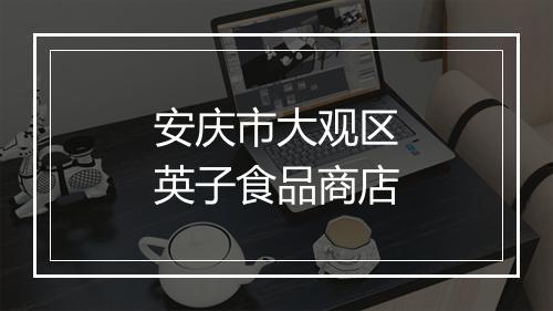 安庆市大观区英子食品商店